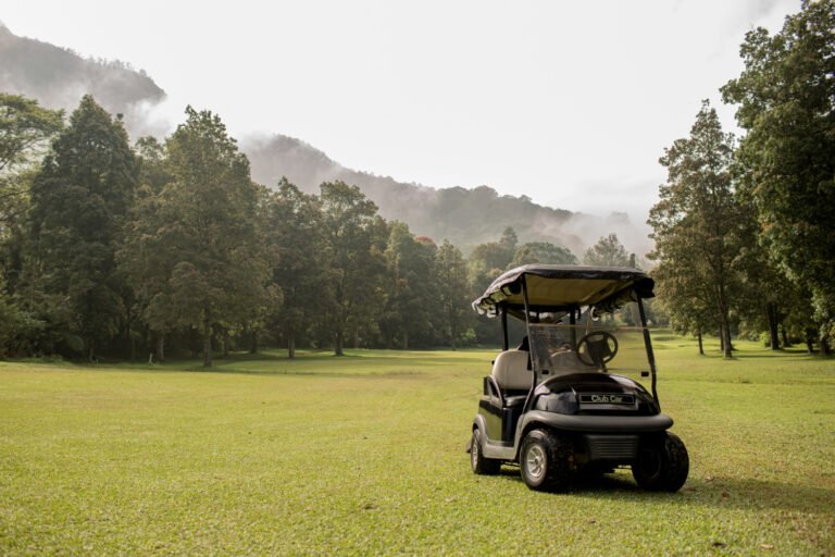 Electric Golf Carts